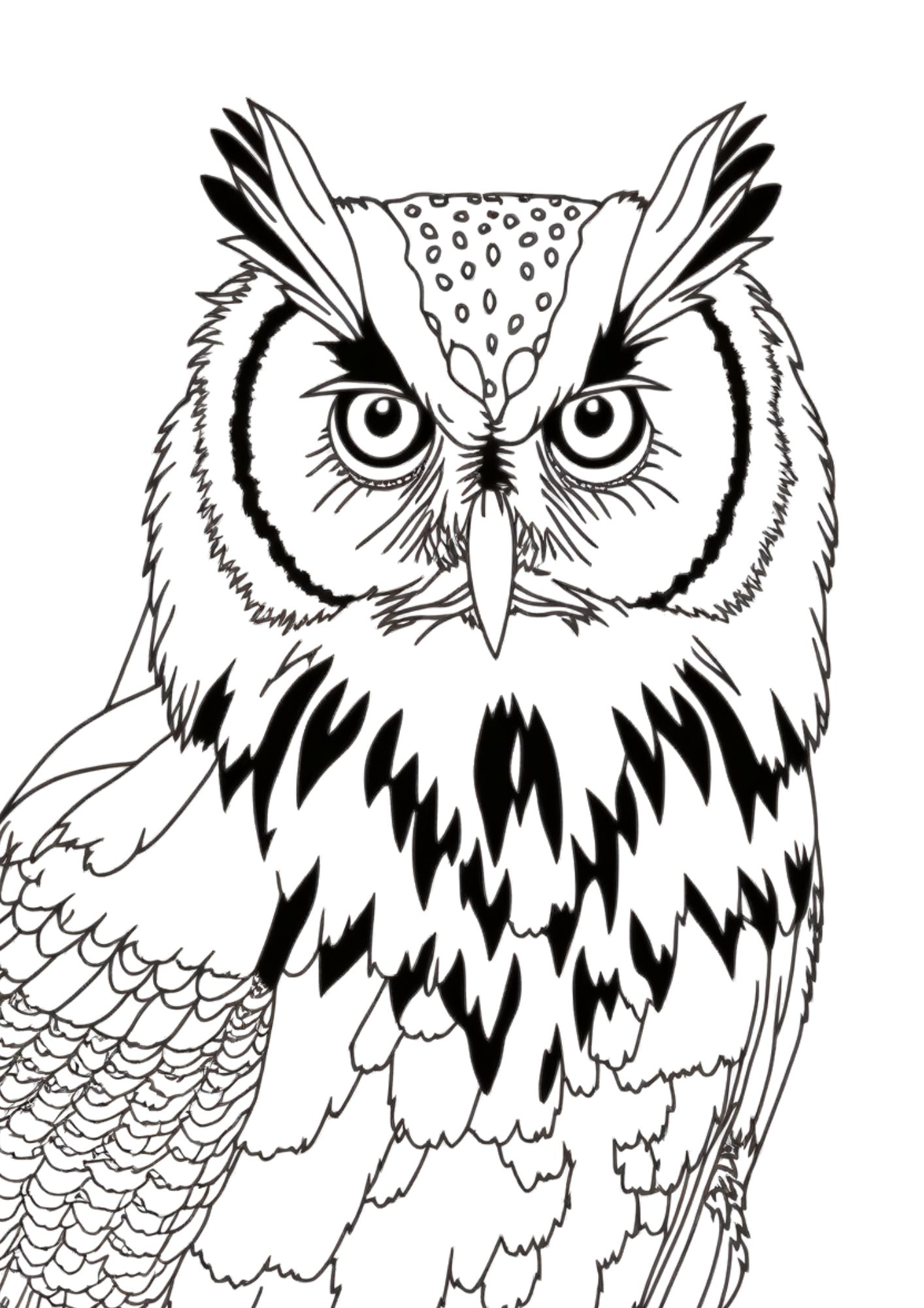 Hoot Hoot! 24 Owl Coloring Pages for Everyone – Free and Printable ...