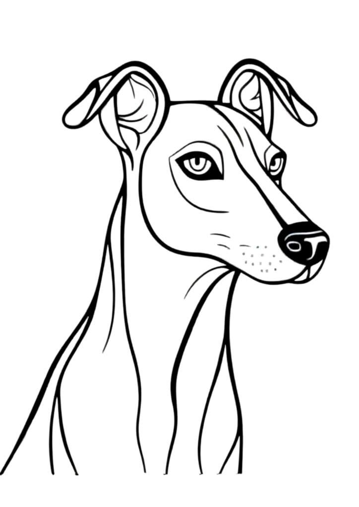 Greyhound Dog coloring page