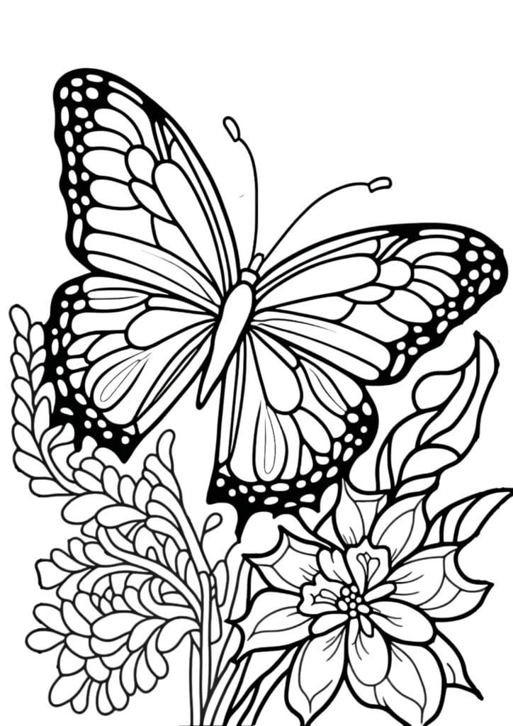 detailed butterfly coloring page with flowers