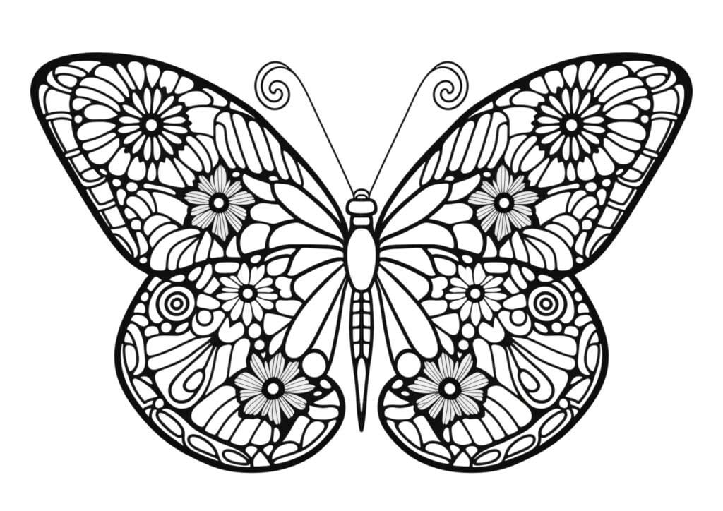 detailed butterfly coloring page for adults